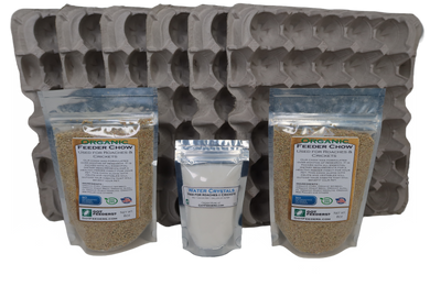 Dubia Breeding Starter Kit (FREE SHIPPING)